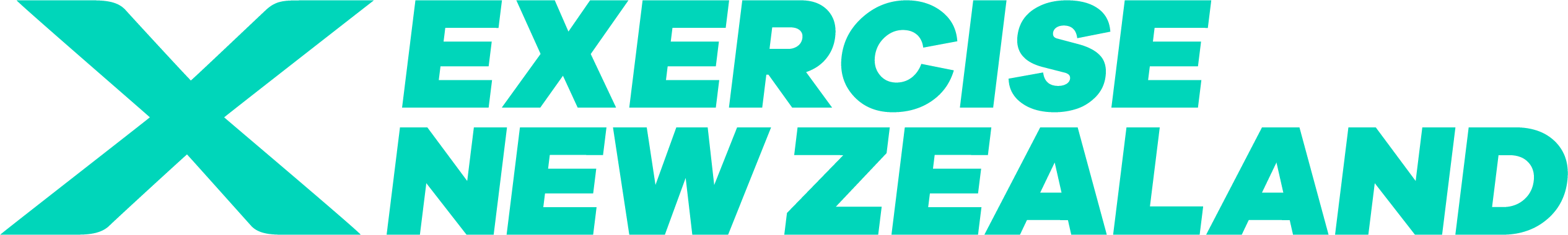 Exercise New Zealand logo
